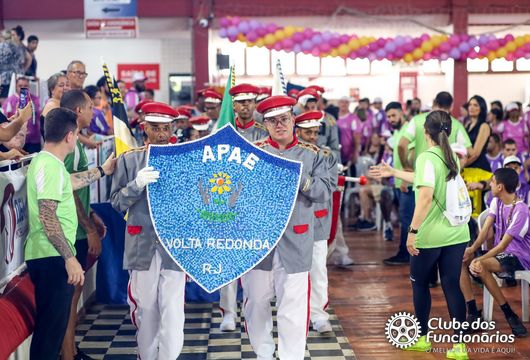 Descrição da Imagem 1