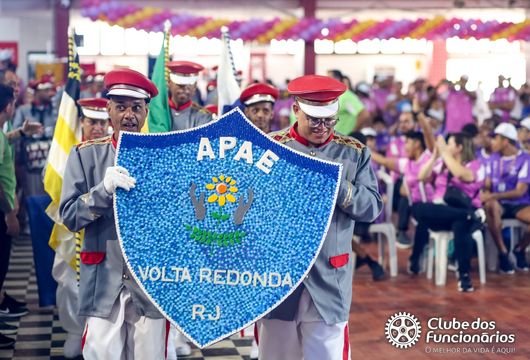 Descrição da Imagem 1