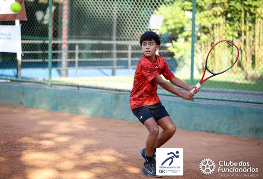 Descrição da Imagem 1