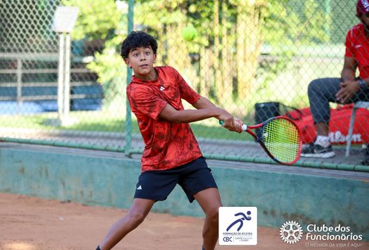 Descrição da Imagem 1