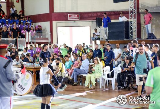 Descrição da Imagem 1