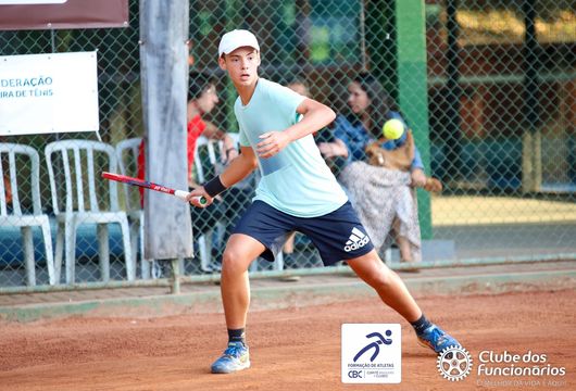 Descrição da Imagem 1