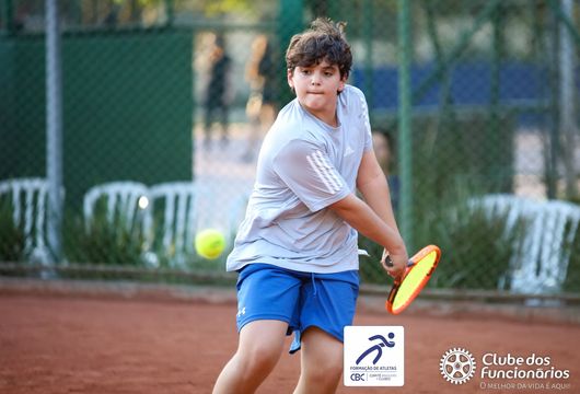 Descrição da Imagem 1