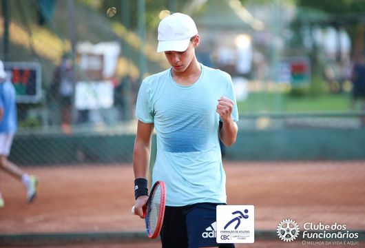 Descrição da Imagem 1