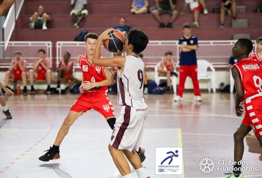 Descrição da Imagem 1