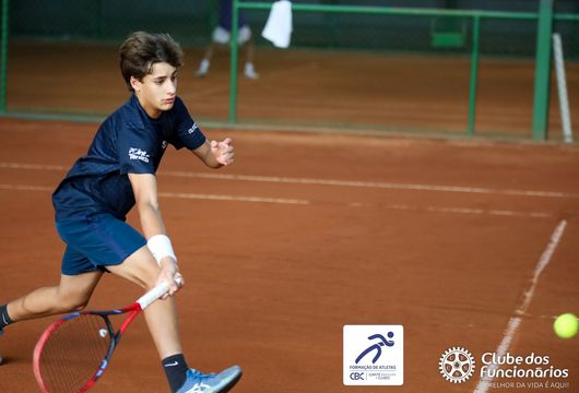 Descrição da Imagem 1