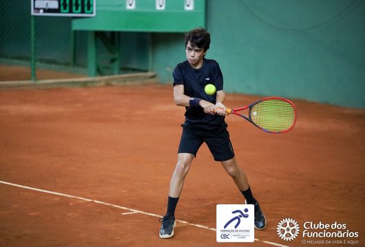 Descrição da Imagem 1