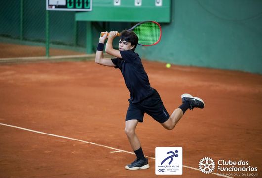 Descrição da Imagem 1