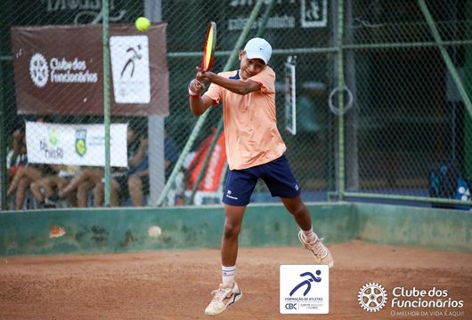 Descrição da Imagem 1