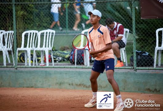 Descrição da Imagem 1