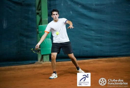 Descrição da Imagem 1