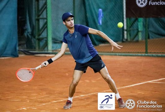 Descrição da Imagem 1