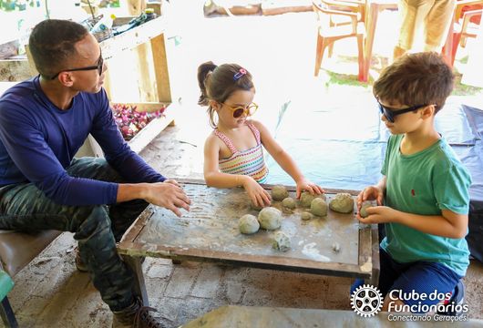 Descrição da Imagem 1