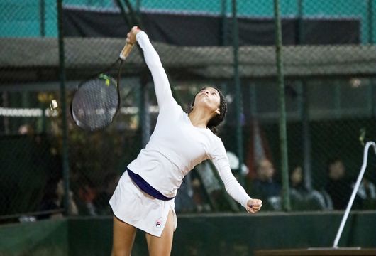 Descrição da Imagem 1