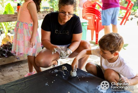 Descrição da Imagem 1