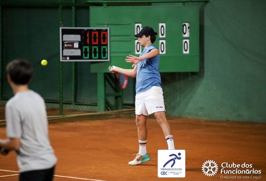 Descrição da Imagem 1