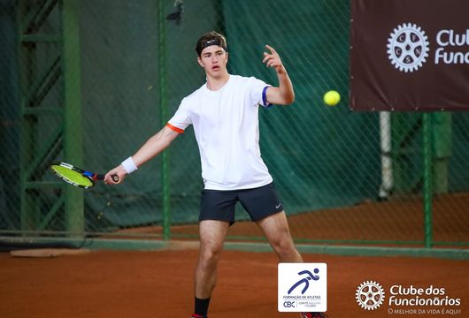 Descrição da Imagem 1