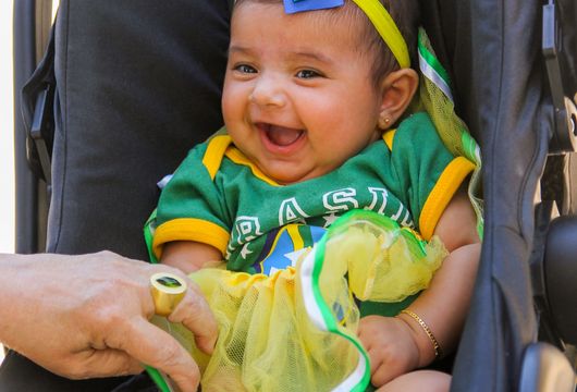 Descrição da Imagem 1