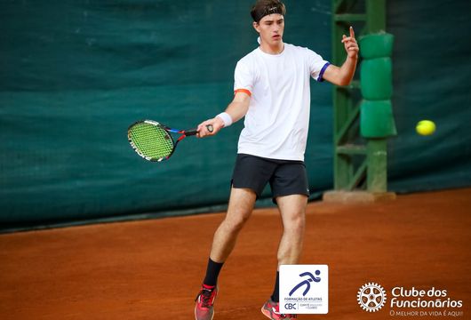 Descrição da Imagem 1