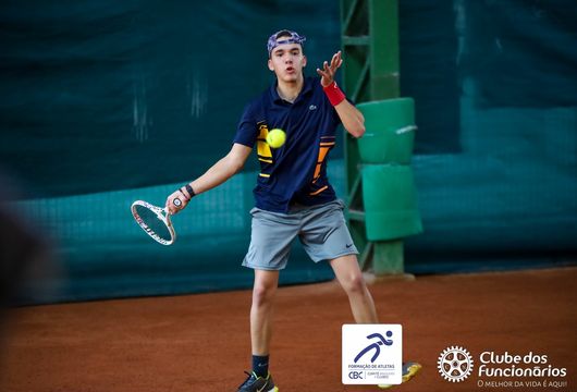 Descrição da Imagem 1