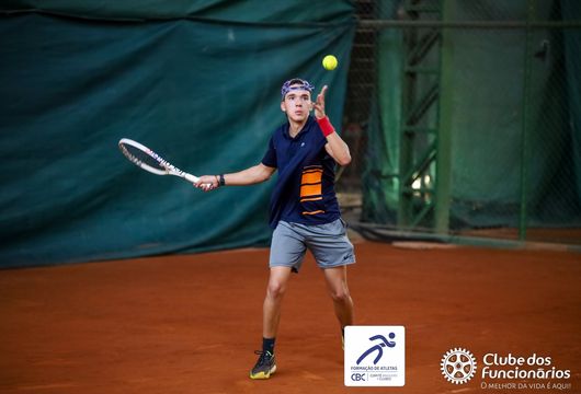 Descrição da Imagem 1