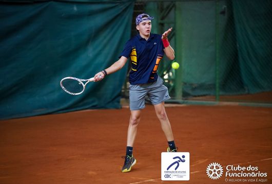 Descrição da Imagem 1