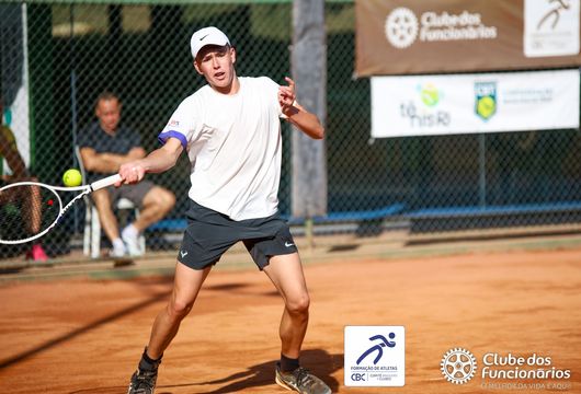 Descrição da Imagem 1