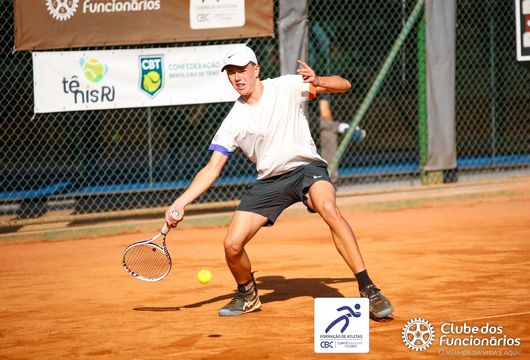 Descrição da Imagem 1