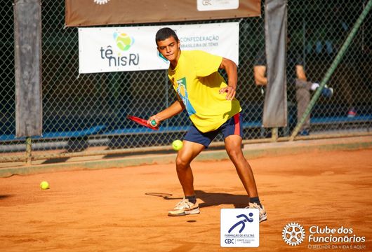 Descrição da Imagem 1