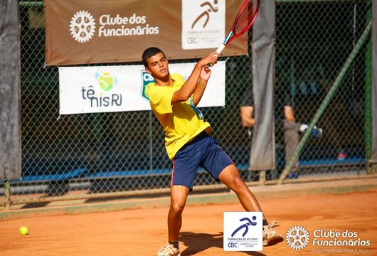 Descrição da Imagem 1