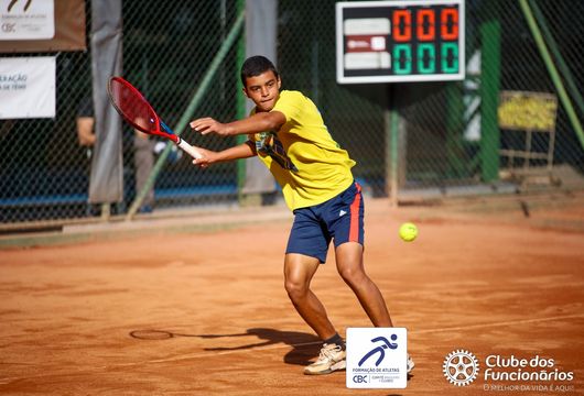 Descrição da Imagem 1