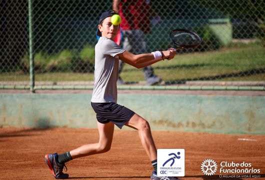 Descrição da Imagem 1