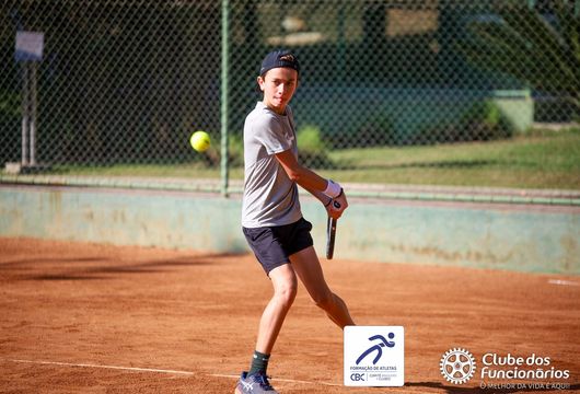 Descrição da Imagem 1