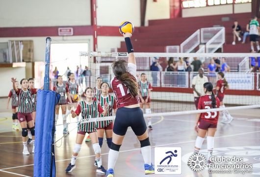 Descrição da Imagem 1