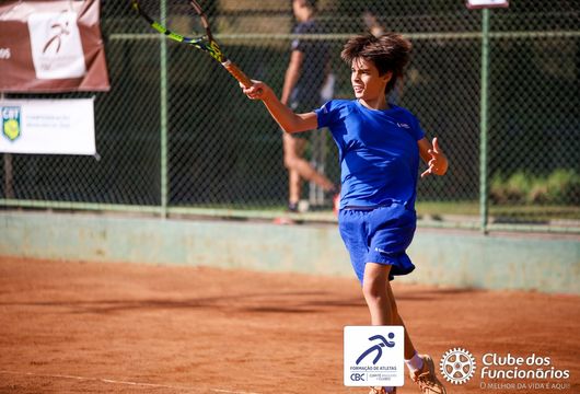 Descrição da Imagem 1