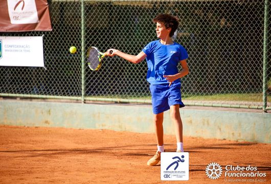 Descrição da Imagem 1