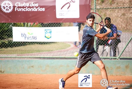 Descrição da Imagem 1