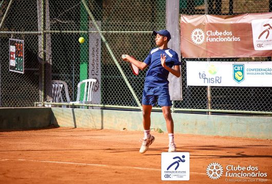 Descrição da Imagem 1