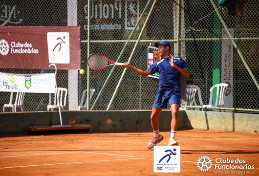 Descrição da Imagem 1