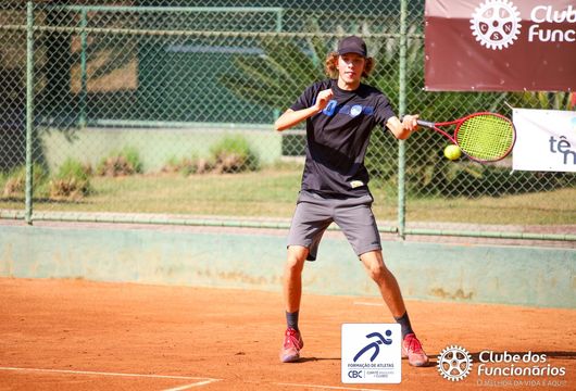 Descrição da Imagem 1