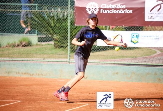 Descrição da Imagem 1