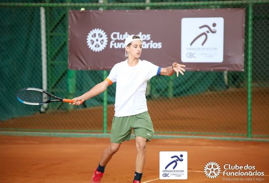 Descrição da Imagem 1