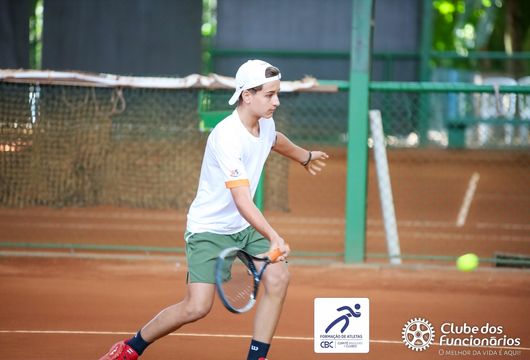 Descrição da Imagem 1