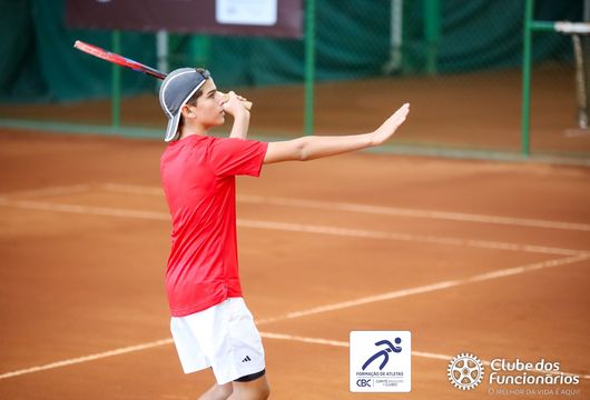 Descrição da Imagem 1