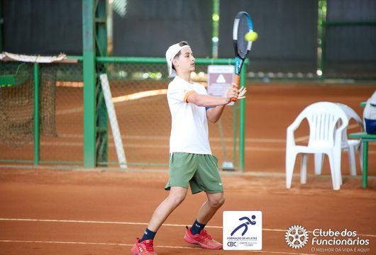 Descrição da Imagem 1