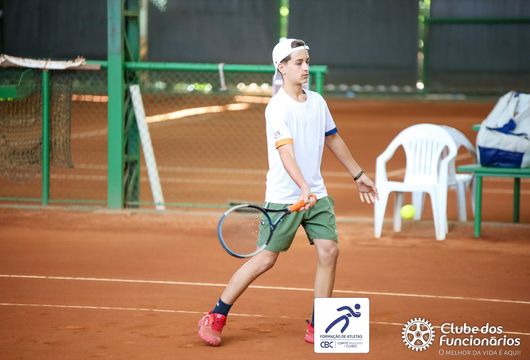 Descrição da Imagem 1