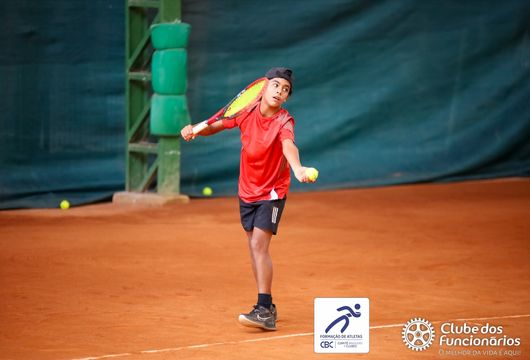 Descrição da Imagem 1