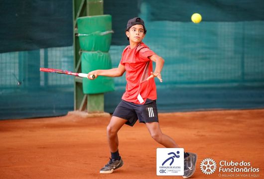 Descrição da Imagem 1