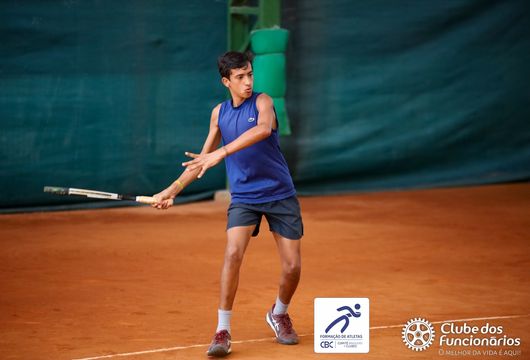 Descrição da Imagem 1