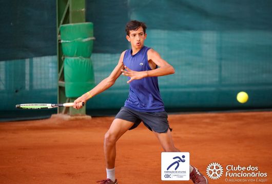 Descrição da Imagem 1